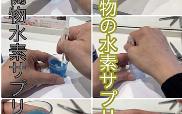 知られざる水素の魅力!!水素で免疫力アップ!